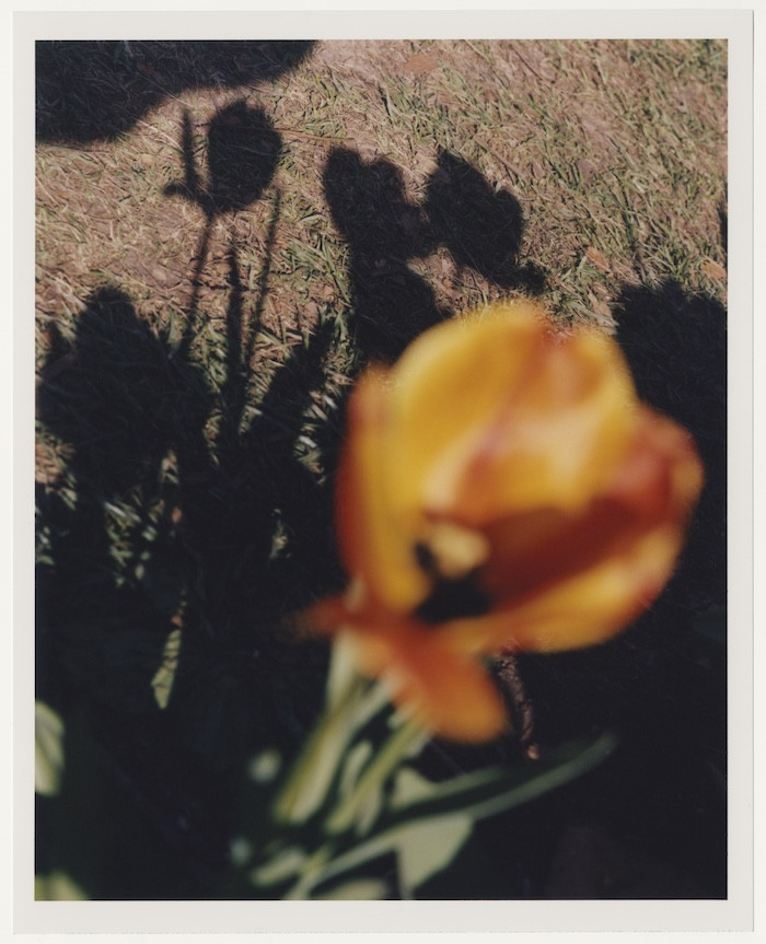 Photo by Clara Balzary