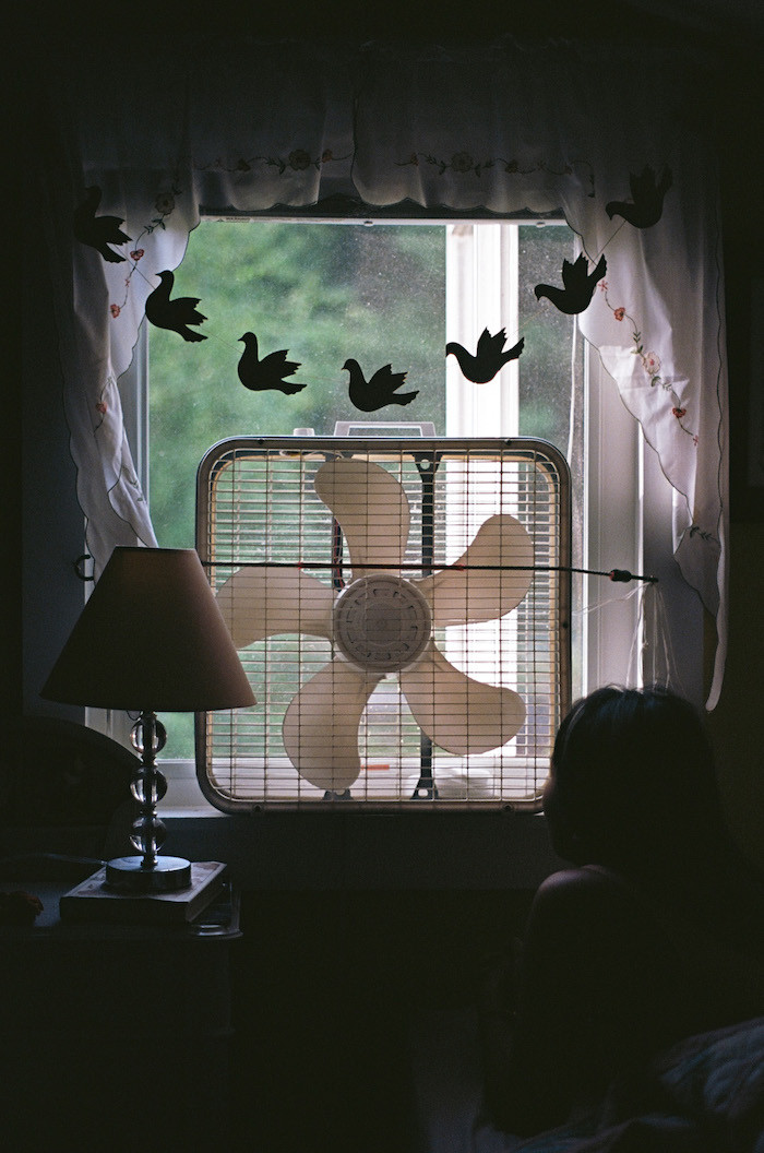 Photo by Meiting Song 